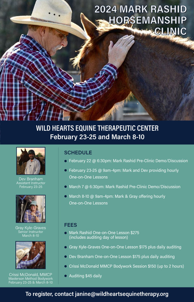 wild hearts equine therapy        
        <figure class=