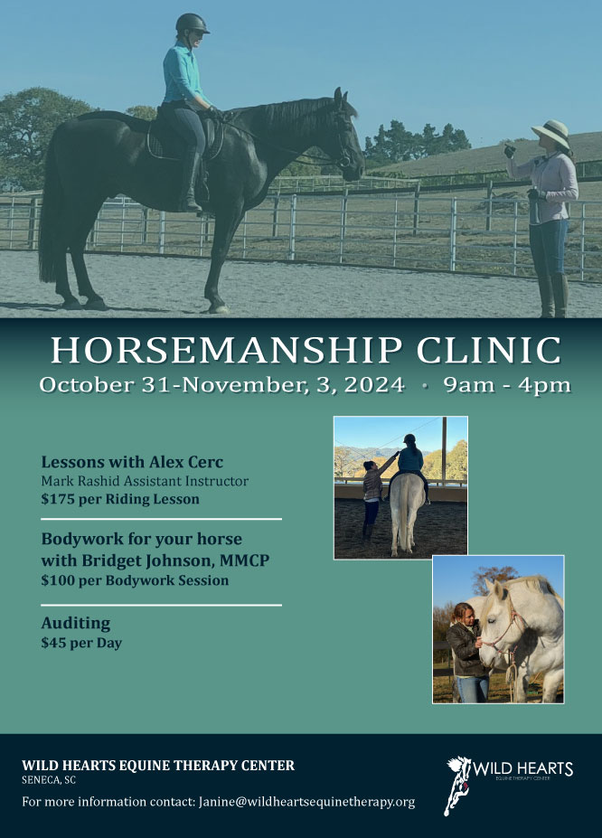 November Horsemanship clinic